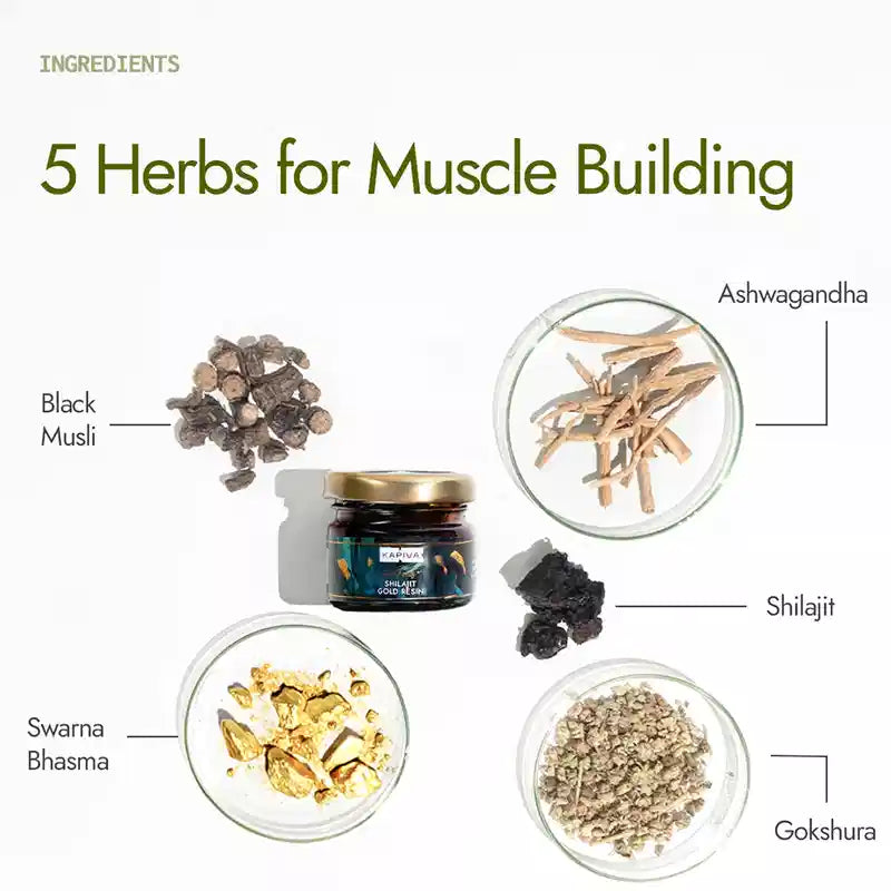 Shilajit Gold Resin 20g Pure Himalayan 100% Ayurvedic